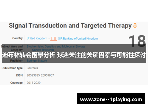 迪布林转会前景分析 球迷关注的关键因素与可能性探讨